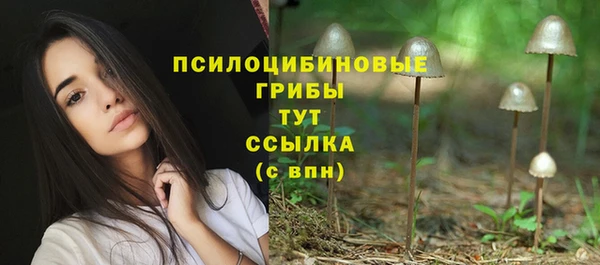 стаф Беломорск