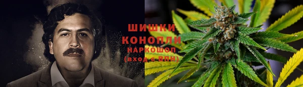 стаф Беломорск