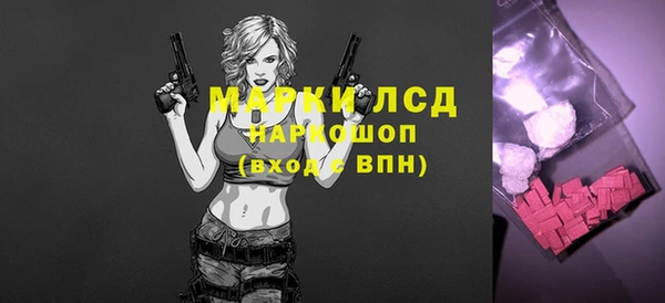 стаф Беломорск