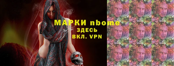 прущие грибы Балахна