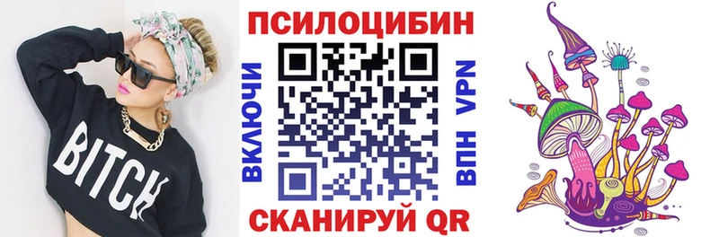 Галлюциногенные грибы Psilocybe  кракен ССЫЛКА  Белинский  закладка 